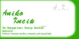 aniko kneip business card